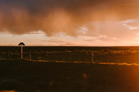 green grass field during golden hours thumbnail