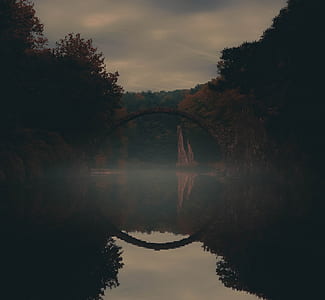 trees surrounded with body of water during night time thumbnail