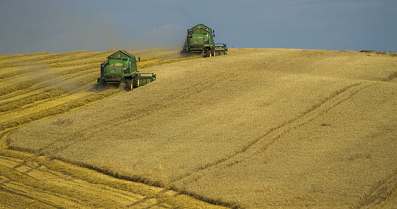 landscape, nature, field, countryside thumbnail