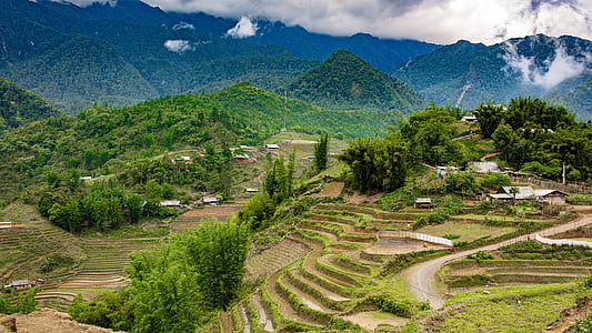 rice terraces thumbnail