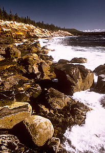 Shoreline and waves at Acadia National Park, Maine thumbnail