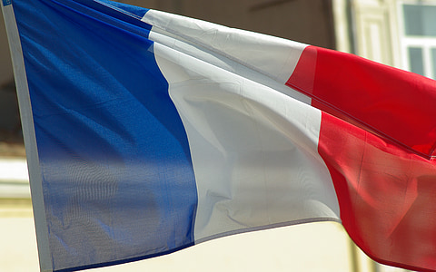 flag of France thumbnail