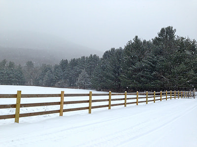 snowfield near forest thumbnail