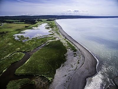 aerial view of trees and ocean ay daytime thumbnail