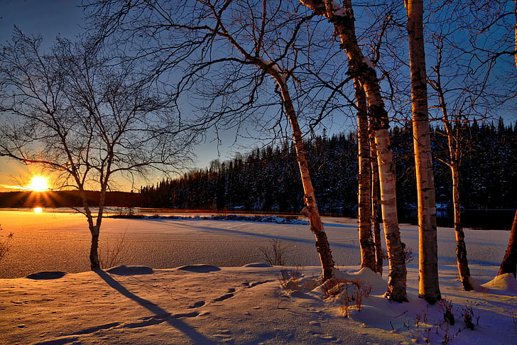 cold, snow, wood, light