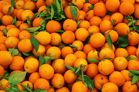 orange fruits thumbnail