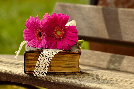 two pink flower on brown covered book thumbnail