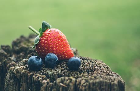 selective focus photography of red strawberry and blueberries on top of wood stamp at daytime thumbnail