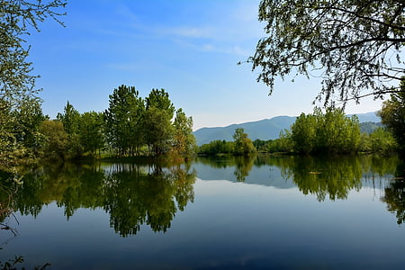 calm body of water surrounded by trees thumbnail