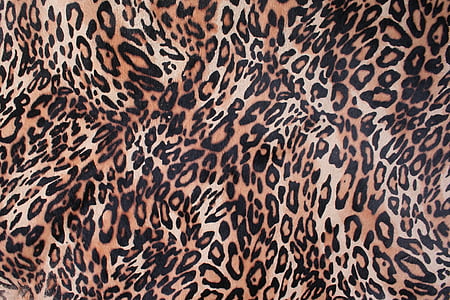black and brown animal print surface thumbnail