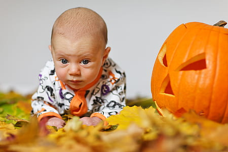 baby crawling near jack o lantern thumbnail