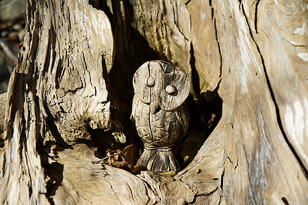 brown carved owl tree trunk thumbnail
