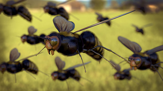 Closeup Flying Honeybee Insects thumbnail