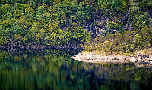 lake and green leafed trees thumbnail