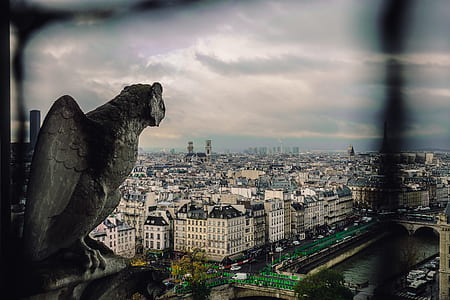 close-up of gray bird statue thumbnail