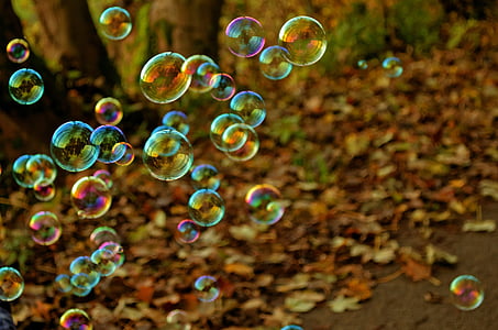 multicolored floating bubbles thumbnail