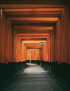 narrow pathway between black-and-brown concrete walls thumbnail