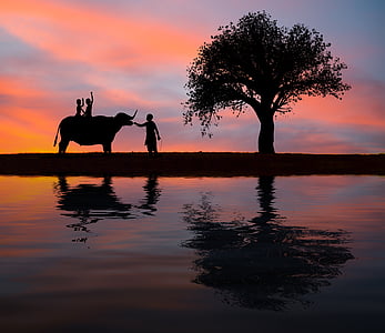 silhouette photography of a tree and children riding reflecting through calm body of water thumbnail