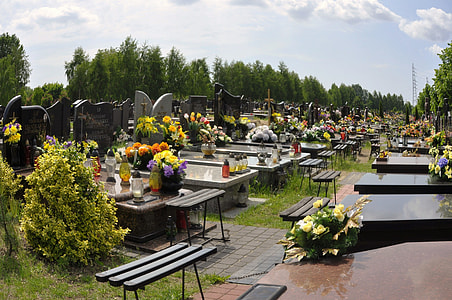graveyard surrounded by green trees at daytime thumbnail