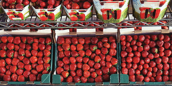 aerial view photography of strawberries on display rack thumbnail