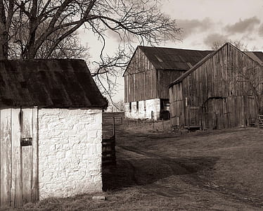 grayscale photo of a house and barn thumbnail