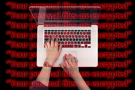 person using MacBook Pro thumbnail