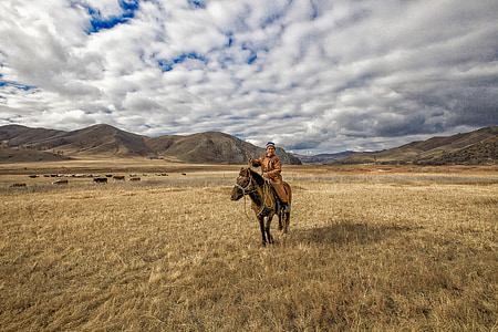 man ride on horse in open field thumbnail