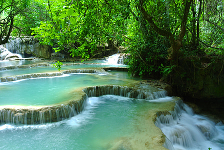 body of water beside tree thumbnail