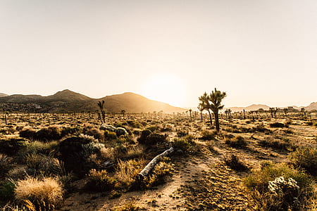 landscape photography of deserted land near mountain at golden hour thumbnail