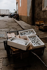 Fresh catch of fish in styrofoam containers thumbnail