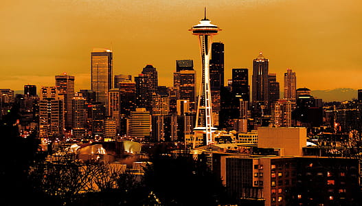 Seattle Space Needle thumbnail