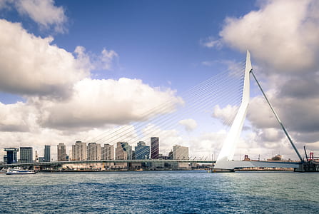 Scenic View of the City thumbnail