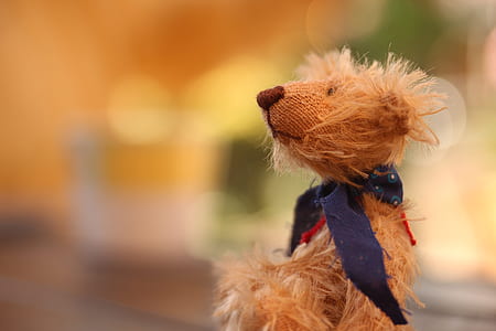 selective focus photography of doll with bow tie thumbnail
