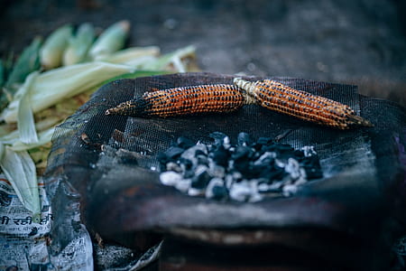 grilled corns on grilling pan during daytime thumbnail