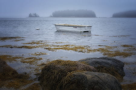 sea, dawn, landscape, sunset thumbnail