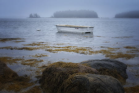 white canoe boat on body of water thumbnail