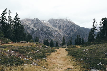 snow covered mountain thumbnail