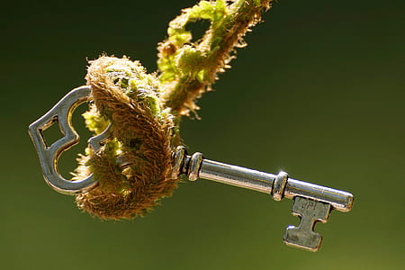 macro photography of skeleton key thumbnail