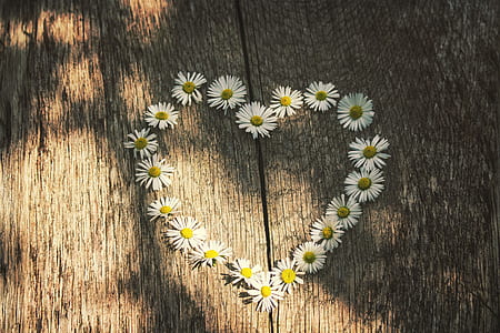 photo of white daisy formed heart on floor thumbnail