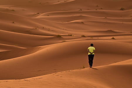 Walking in the Desert thumbnail