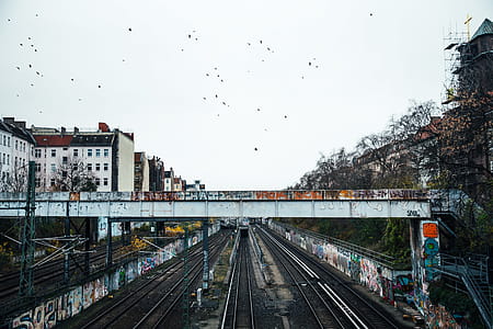 Graffiti walls near a train subway bridge and tracks thumbnail