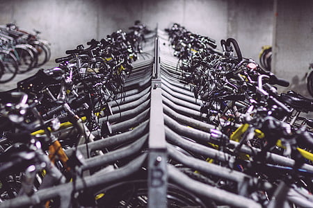 grayscale photo of bicycles thumbnail
