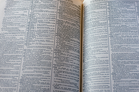 Dictionary page thumbnail