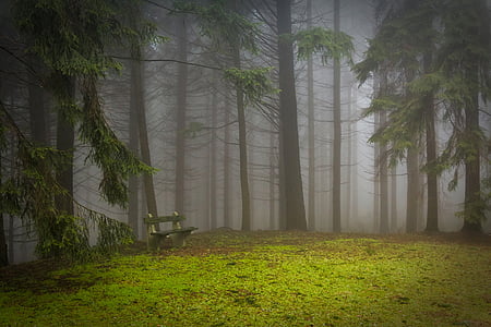 fog mountain thumbnail