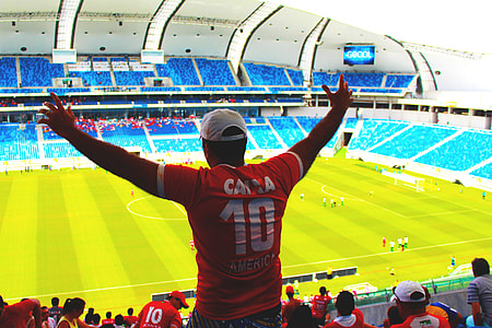 A soccer fan enjoys the football match in the sports stadium thumbnail