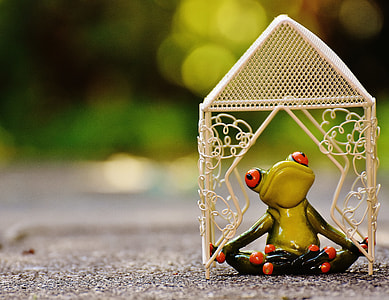 selective focus photo of green and red American frog figurine on gray concrete surface thumbnail