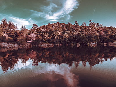 reflective shot of fores and body of water thumbnail