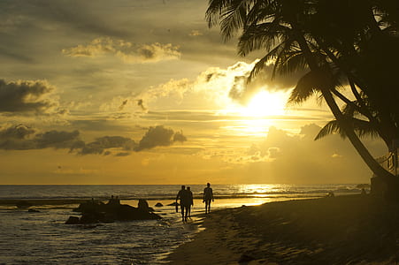 sea, dawn, nature, sunset thumbnail