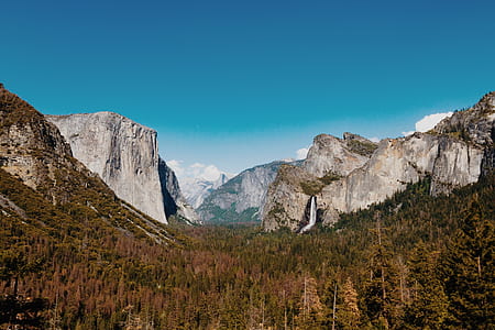trees surrounded by mountains under sunny sky thumbnail