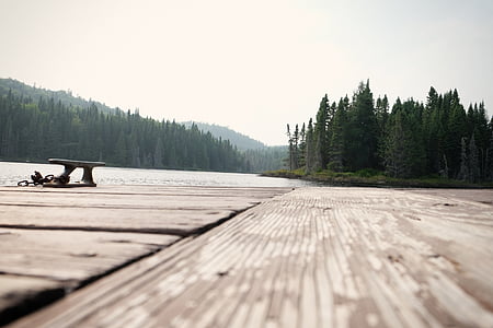 brown parquet wood flooring near pine trees under gray sky thumbnail